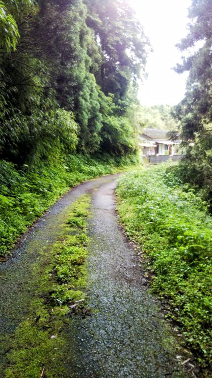梅雨、tsuyu, the rainy season has begun here. It has been pouring most of the week. Taking my chance for a run during this "dry" morning (22⁰C, 89% humidity)